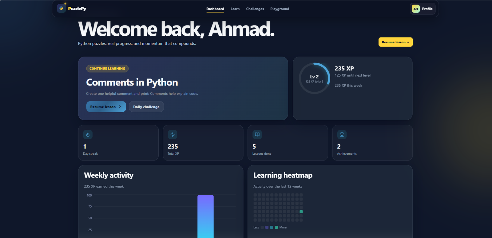 PuzzlePy learner dashboard with learning progress, XP, and activity overview